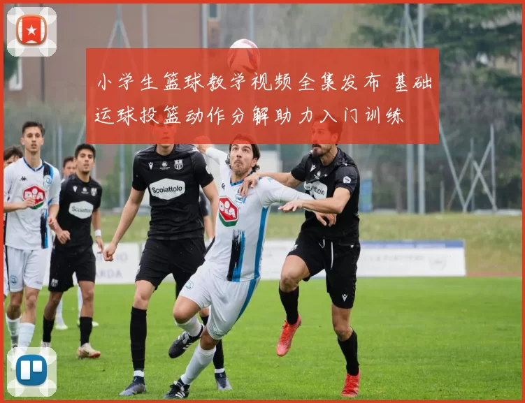 小学生篮球教学视频全集发布 基础运球投篮动作分解助力入门训练