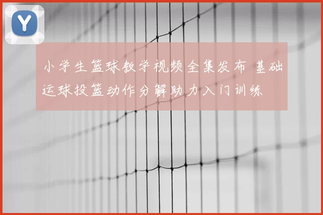 小学生篮球教学视频全集发布 基础运球投篮动作分解助力入门训练