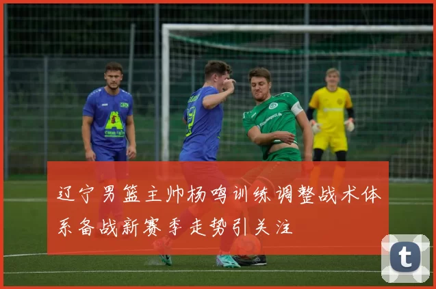 辽宁男篮主帅杨鸣训练调整战术体系备战新赛季走势引关注