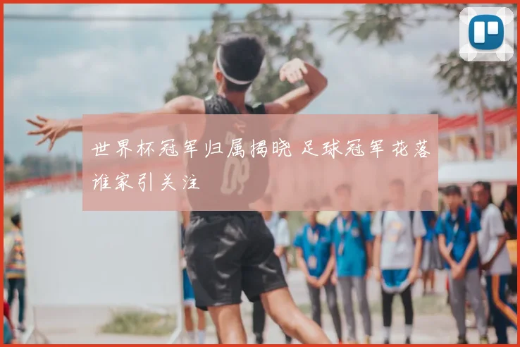 世界杯冠军归属揭晓 足球冠军花落谁家引关注